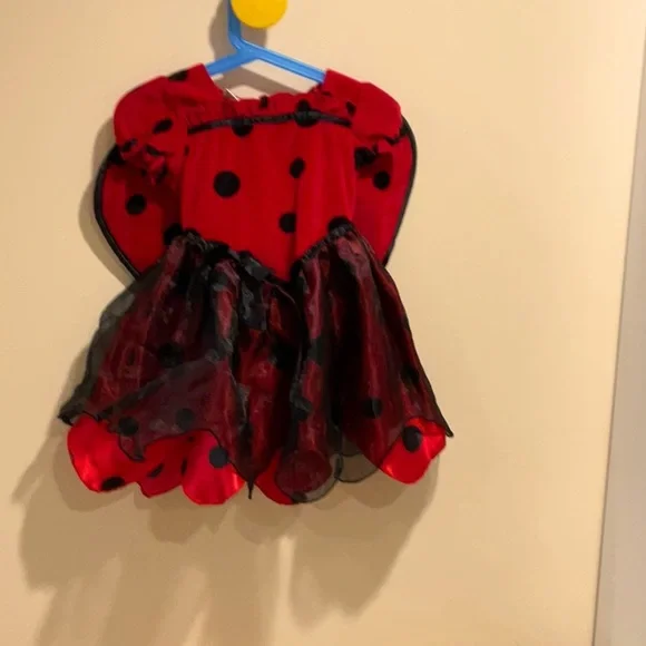 Costumes | Ladybug Dress Coustume | Poshmark